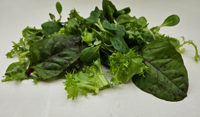 Kinakål mix