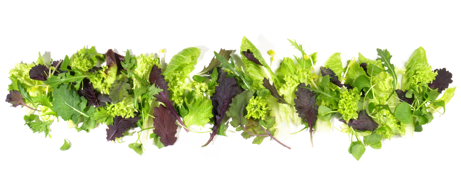 Salat